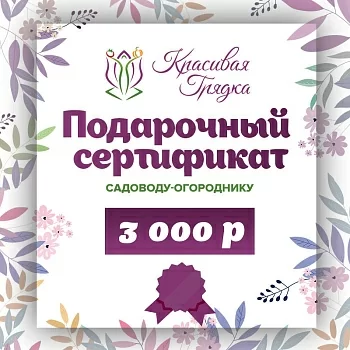 Подарочный сертификат 3000 р.