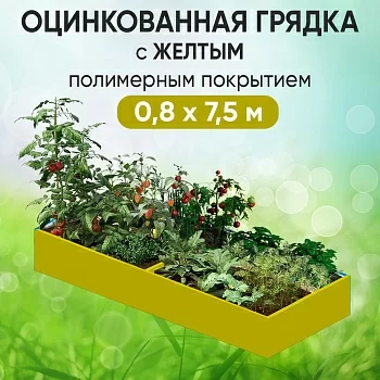 Грядка желтая (0,8 х 7,5)